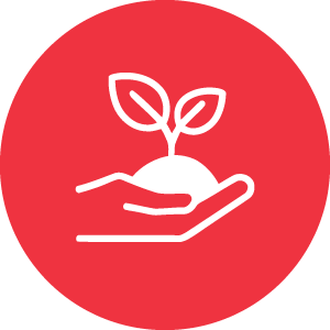 Image link